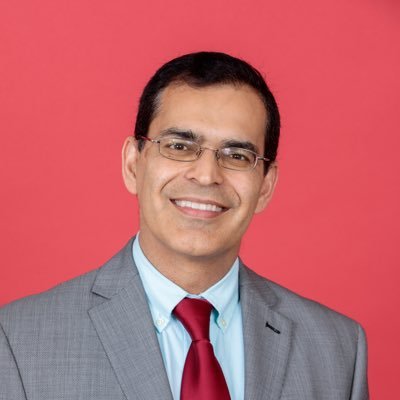 The Patent Professor® Profile