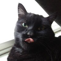 RankChoiceVotingisaScam (@alaska_rusty) 's Twitter Profile