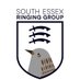 South Essex Ringing Group (@SouthEssexRG) Twitter profile photo