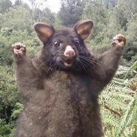 kunotees (@asdernr) Twitter profile photo