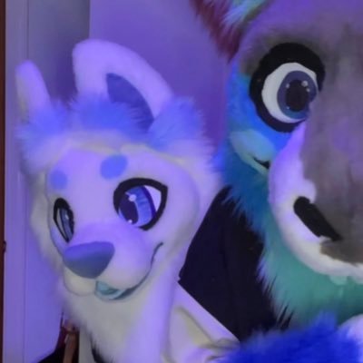 fursuits: Zephyr, Ghost, Salem, Eclipse & Shasta! 🌬️❄️🔥✨🌟Artist | Furry | Irish 🇮🇪🏳️🌈 21 | He/They/Pups | comms/trades: OPEN