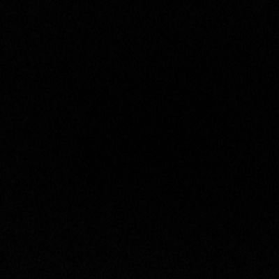 niels09544367's profile picture. 