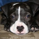 John Nave - @JohnnyLargo - Twitter