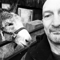 Johnny Baffo (@jonnybaffopoems) 's Twitter Profile