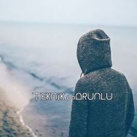 丅ᗴᛕᑎᎥᛕ ᔕᗝᖇᑌᑎᒪᑌ (@teknik_sorunlu) 's Twitter Profile