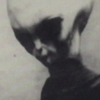 talking-surface-monkey (@surfacemonkeys) 's Twitter Profile