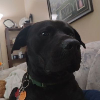 I'm a twitch streamer @xboxman6512.  I game a lot of games and open to suggestions.
