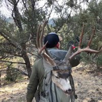AL (@gila16arch) 's Twitter Profile
