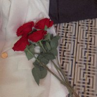 Bayan🌹 (@bayan_halloum) 's Twitter Profile