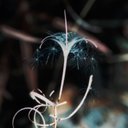 Dale Mackall - @DaleMackall - Twitter