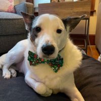 Joe Sudbay (@joesudbay) 's Twitter Profile