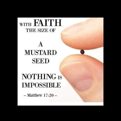 “The fool says in his heart, ‘There is no God.’” The point is that our world could not have come into existence by accident because it has so many evidences