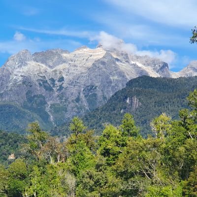 Profesor de filosofía, patagónico y chileno de corazón