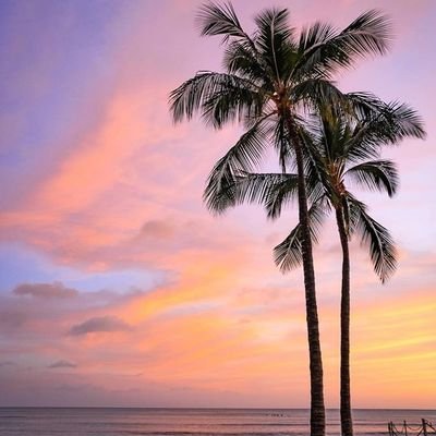 Nawand_akram's profile picture. لا غالب الا الله