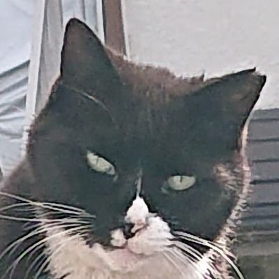 むらくもさんさんのプロフィール画像