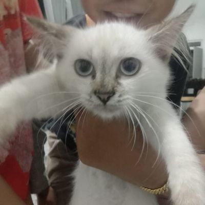 pok_haa's profile picture. 