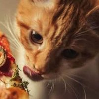 EK2 (@erickivanmarte1) 's Twitter Profile