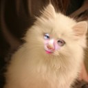 Billy.Shi - @Billy_Shi - Twitter