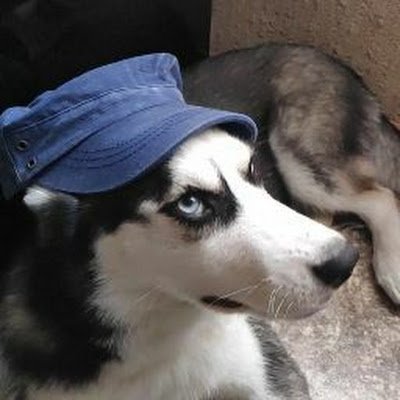 BManulenka's profile picture. 