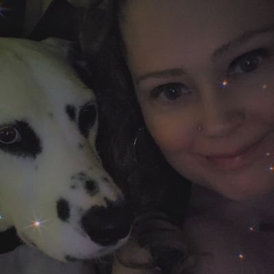 StephStrohmeier's profile picture. 