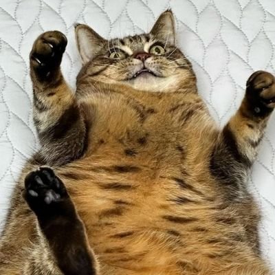 Yo!!!