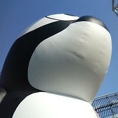名古屋を応援して早20年以上。
喜びも悲しみも幾歳月。
目下の悩みは大人買いしてダブった10年以上前からの名古屋のトレカの山の処理。ダブりとはいえ、捨てれないよ。
