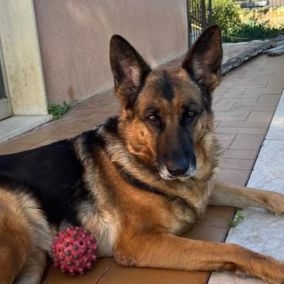 Ekiralill_2's profile picture. 