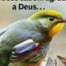 Cibelle1631's profile picture. Deus...Pátria...Família 🇧🇷🙏❤