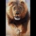 Leo The Lion (@Leo33TheLion7) Twitter profile photo
