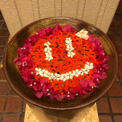 yayo_841i's profile picture. 平日が好き