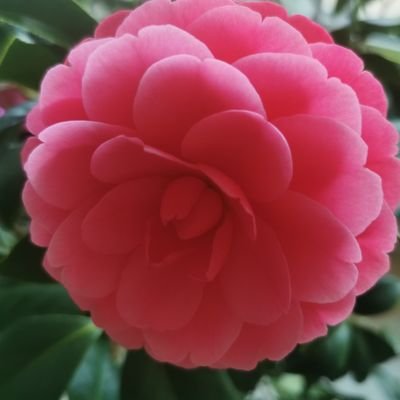 lanhua79267413's profile picture. 太阳☀️的光芒