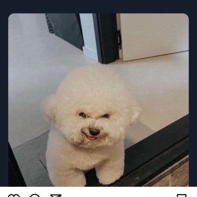 grootloops's profile picture. 