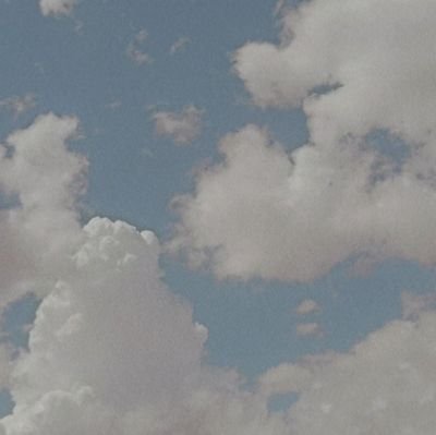 naranja_nose's profile picture. 