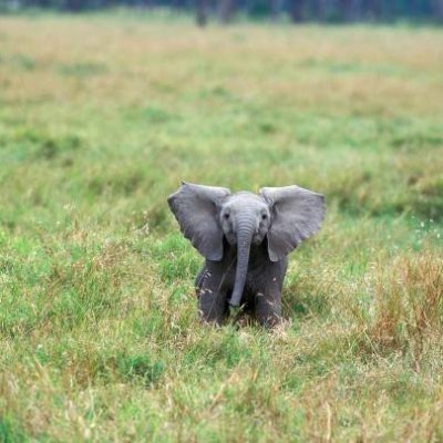 q_m_k_'s profile picture. 