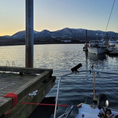 monkeymanwasd's profile picture. 