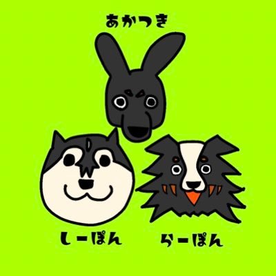 栃木県栃木市でハスキーのしーぽん、オゥシーのらーぽん🌈、ジャーマンシェパードのあかつき（みんな♀）と暮らしています🐾無言フォローごめんなさい💦こちらは無言フォロー歓迎ですので犬種問わずご自由にどうぞ🐾鍵垢さんはブロ解します⚠️絵を描く人でもあります🎨車好きでもあります🚘