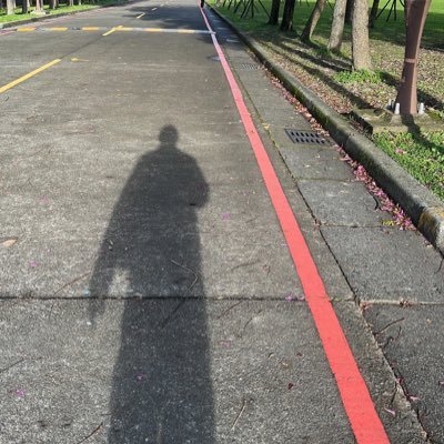 bc8778's profile picture. 