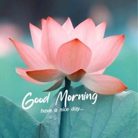 Nanasaheb kadam (@nanakadam8) 's Twitter Profile