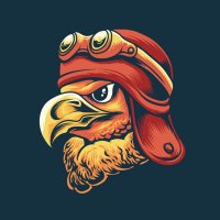 Email Eagle | Ecom Email Architecture (@emaileagle) 's Twitter Profile