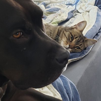 XRPbartenderNH's profile picture. ENJOY YOUR JOURNEY