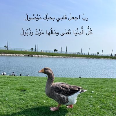 ألنجاح والحلم الجميل!!! النجاح حق مشروع للجميع. من حقنا أن نحلم وأن نرسم صورة وردية للمستقبل. الحياة تمنحنا الكثير, ونحن ننظر فقط للذي لم تمنحنا إياه.