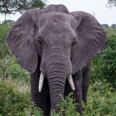 godfrey_ne's profile picture. 