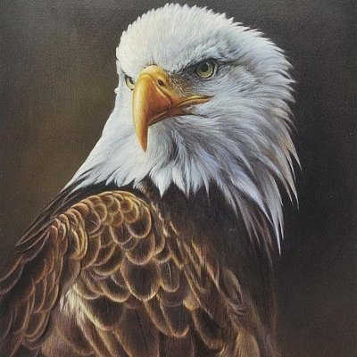 Kapil05192885's profile picture. ✨