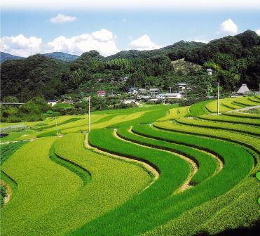 和歌山暮らしを楽しみながら、地域の皆さんと協働しています。中田の棚田🌾 2024.1～、2024.3～、地域づくり学校🏫2023.4〜、民泊🏠2023.5〜、自伐型林業🌳2023.6〜×2、現在6名の隊員が活動。卒隊員の定住率も高い町です。