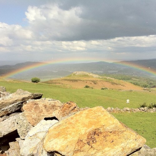 davierob77's profile picture. 