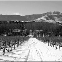 Jo Thompson (@jothompsonwine) 's Twitter Profile