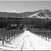 Jo Thompson (@jothompsonwine) Twitter profile photo Jo Thompson (@jothompsonwine) Twitter profile photo