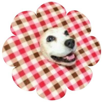 まんをじしてココアさんのプロフィール画像