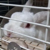 ぴーくん🐇 (@uetlt22q9mypi30) 's Twitter Profile Photo ぴーくん🐇 (@uetlt22q9mypi30) 's Twitter Profile Photo