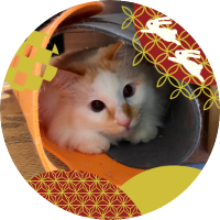 sssssine (@sssssine) 's Twitter Profile Photo sssssine (@sssssine) 's Twitter Profile Photo